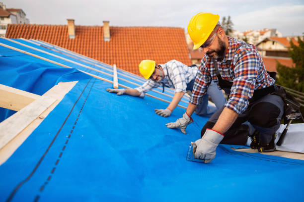 Trusted Odessa, FL Roofing Contractor Experts
