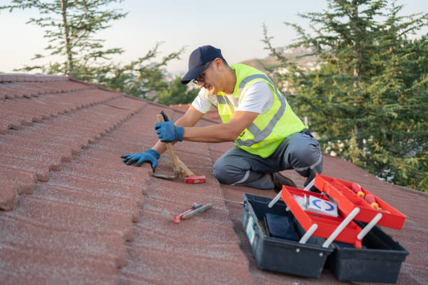 Best Roof Maintenance Services  in Odessa, FL