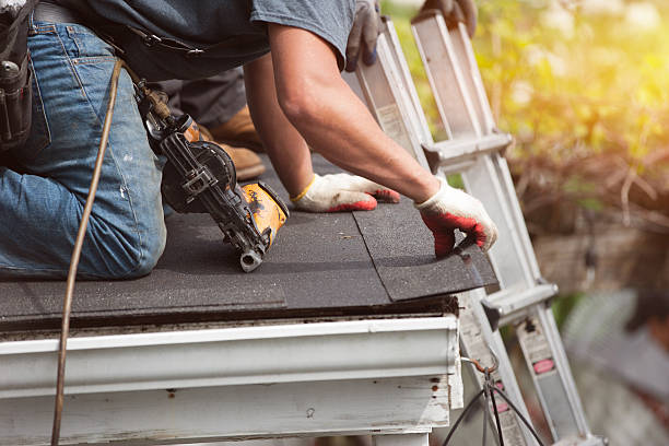Best Gutter Installation and Roofing  in Odessa, FL